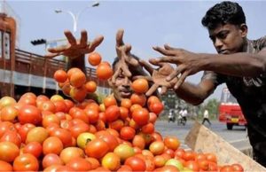 टमाटर की बढ़ती कीमतों पर लगाम, अगले 3-4 दिनों में कीमतों में आएगी गिरावट…