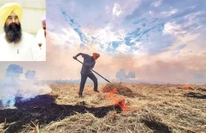 भगवंत मान सरकार की मेहनत ला रही रंग, पराली जलाने के मामलों में आई बड़ी गिरावट