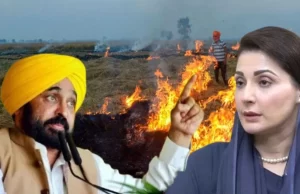 पराली से प्रदूषण पर नाराज हुईं मरियम नावाज, तो जानें क्या बोले Punjab के CM Bhagwant Maan