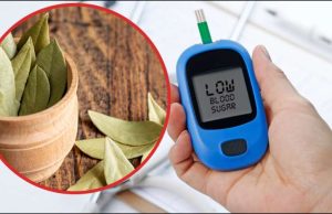 शुगर का काट है ये सूखा पत्ता, सुबह-सुबह Diabetes को ऐसे करता है Controls
