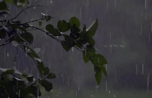 Alert पर पंजाब के ये शहर, मौमस को लेकर आ गई बड़ी Update