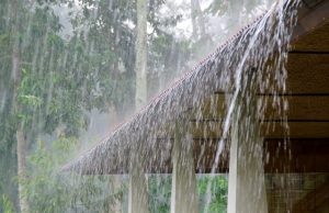 Punjab Weather Update: 7 जिलों में बारिश और तेज हवाएं चलने की संभावना, तापमान में होगी हल्की गिरावट