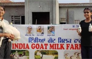 Punjab की 12 और 10 साल की बहनों ने खड़ा किया ‘Goat Milk Empire’ अब हर महीने कमा रहीं ₹1.5 लाख