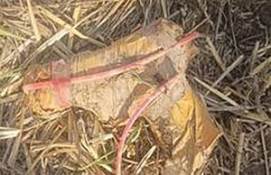 Punjab Border पर BSF की बड़ी कार्रवाई: पिस्तौल, ड्रोन और हेरोइन किया बरामद