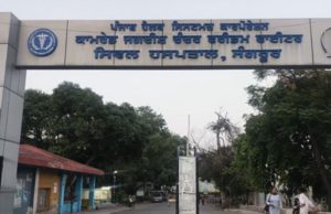 Sangrur में बच्चा चोरी करने के आरोप में महिला गिरफ्तार, Nurse बनकर कर रही थी अपराध को अंजाम