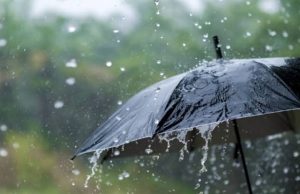 Punjab Weather Update : राज्य के इन 16 जिलों में आज बारिश और तूफान का अलर्ट, IMD ने दी चेतावनी