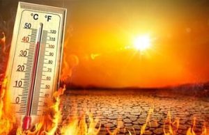 Punjab Weather : राज्य में गर्मी का कहर जारी, इन इलाकों में बढ़ेगा तापमान, IMD ने दी जानकारी