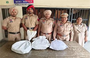 बिहार से जालंधर गांजा सप्लाई करने वाली लेडी गैंग का पर्दाफाश