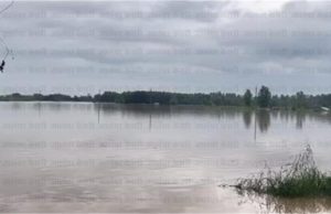 बारिश से मची हाहाकार, पंजाब के इस इलाके में अचानक आया पानी, लोगों ने छोड़े घर