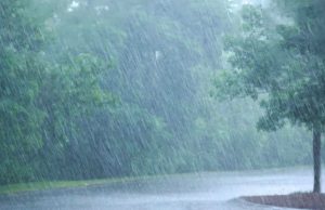 Weather Alert : Punjab के इन जिलों में बाढ़ का Alert! बांधों से छोड़ा जा रहा अतिरिक्त पानी