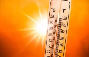 Punjab Weather: विदाई की ओर बढ़ रही सर्दी, पंजाब में बढ़ने लगा तापमान, पढ़ें लेटेस्ट Update