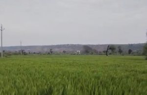 Punjab और Chandigarh में बदला मौसम:तापमान में गिरावट, आंधी-बारिश और ओले गिरने की संभावना