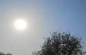 Punjab-Chandigarh में आज मौसम ड्राई रहेगा:सुबह-शाम ठंड बढ़ी, तापमान सामान्य से नीचे