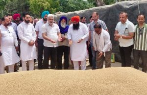 Punjab की मंडियों में 28 लाख मीट्रिक टन गेहूं की आमद, 24 लाख मीट्रिक टन से अधिक की खरीद : Lal Chand Kataruchak