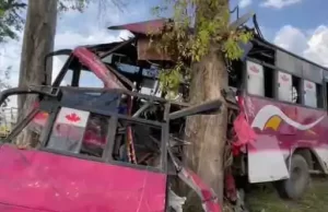 Phagwara :बेकाबू होकर पेड़ से टकराई, 12 यात्री घायल; मुकंदपुर से फगवाड़ा जा रही थी