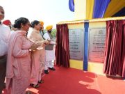 CM भगवंत मान ने 250 ग्रामीण खेल मैदानों का किया उद्घाटन, खिलाड़ियों के साथ खेली वॉलीबॉल