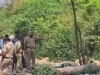 Chandigarh में नगर निगम कर्मचारी की लाश मिली:पीठ पर चोट के निशान, CCTV फुटेज से आरोपी की तलाश में जुटी पुलिस