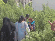 Jalandhar में मिला नवजात का शव मिलने से हड़कंप:कूड़े में लाश को पड़ चुके कीड़े; पुलिस 2 घंटे देरी से पहुंची; लोगों ने जताई नाराजगी