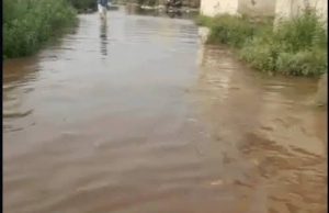 Jalandhar में Overflow होने से नहर का बांध टूटा: कॉलोनियों में पानी भरा, बोरियों की मदद से मरम्मत