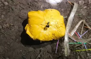 Amritsar में हेरोइन समेत 2 तस्कर गिरफ्तार:1.147 किलो नशा बरामद, नाकाबंदी दौरान पकड़ा