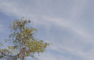Punjab Weather Update: पंजाब के 3 जिलों में भारी बारिश का येलो अलर्ट, जानें अगले दिनों का मौसम