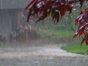 Punjab Weather Update: Punjab के इन 3 जिलों में बारिश के आसार, जानें मौसम का हाल