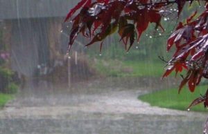 Punjab Weather Update: Punjab के इन 3 जिलों में बारिश के आसार, जानें मौसम का हाल