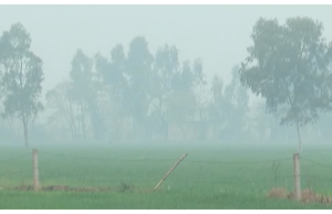 Punjab Weather: पंजाब के मौसम को लेकर नया अपडेट! दिन में गर्मी और सुबह-शाम रहेगी हल्की ठंड, जानें मौसम का हाल