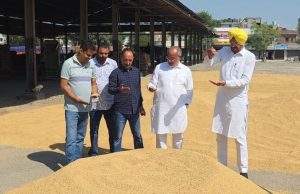 Punjab में धान खरीद की तैयारी पूरी, लुधियाना अनाज मंडी में सभी व्यवस्थाएं दुरुस्त