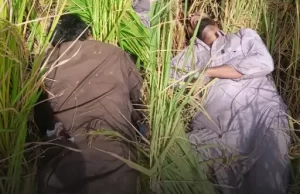 पंजाब के Tarn Taran में 2 Pakistani घुसपैठिए ढेर:वार्निंग के बावजूद नहीं माने, तीसरा घबराकर वापस भागा