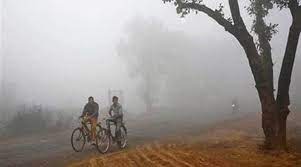 WhatsApp Image 2023-12-13 at 10.25.47 AM