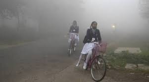 WhatsApp Image 2023-12-28 at 12.47.19 PM