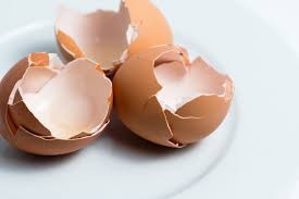 Eggshells