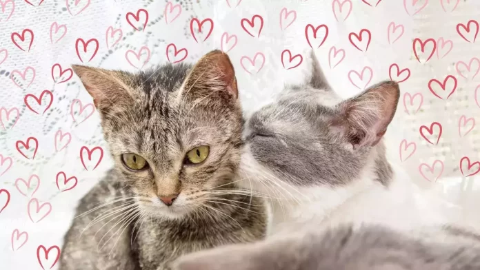 Happy Kiss Day 2024