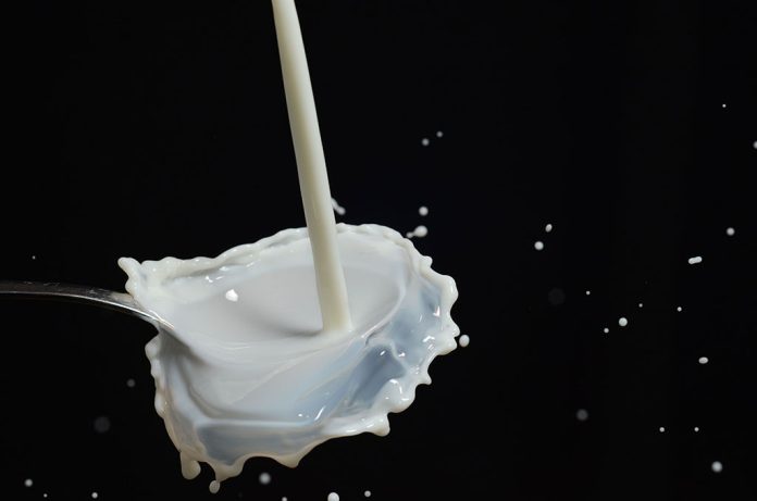 milk real or fake